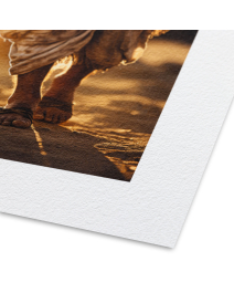 FineArt Druck auf Canson Arches 88