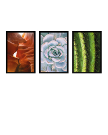 Fine Art Wandbilder Set 008 Desert - 40x60cm inklusive Bilderrahmen 