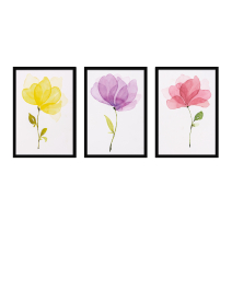 Fine Art Wandbilder Set 009 Aquarell - 40x60cm inklusive Bilderrahmen 