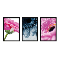 Fine Art Wandbilder Set 010 Gerbera - 40x60cm inklusive Bilderrahmen 
