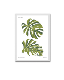 FineArt Wandbild 291 Botanical Modern